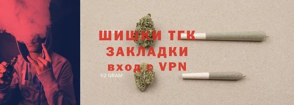 спиды Новозыбков