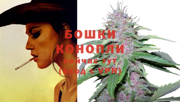 спиды Новозыбков