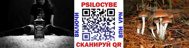 Галлюциногенные грибы прущие грибы Кодинск